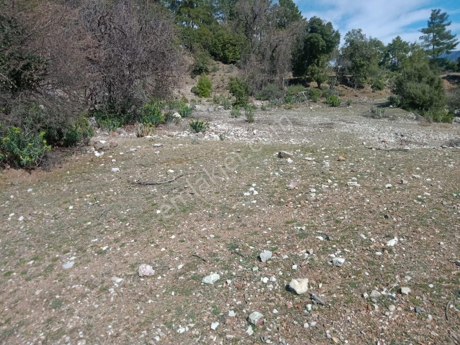 Satılık 2.525 M2 Tarla Antalya Kumluca Da - Görsel 7