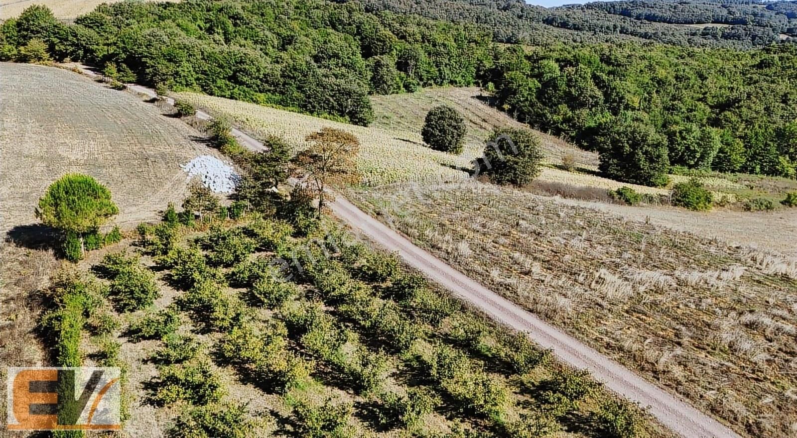 Kandıra Balcı 740 M2 %5 İmarlı Satılık Parsel - Görsel 3