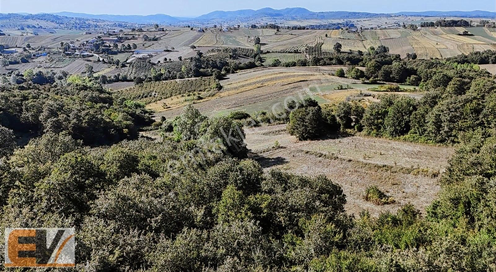 Kandıra Balcı 740 M2 %5 İmarlı Satılık Parsel - Görsel 11