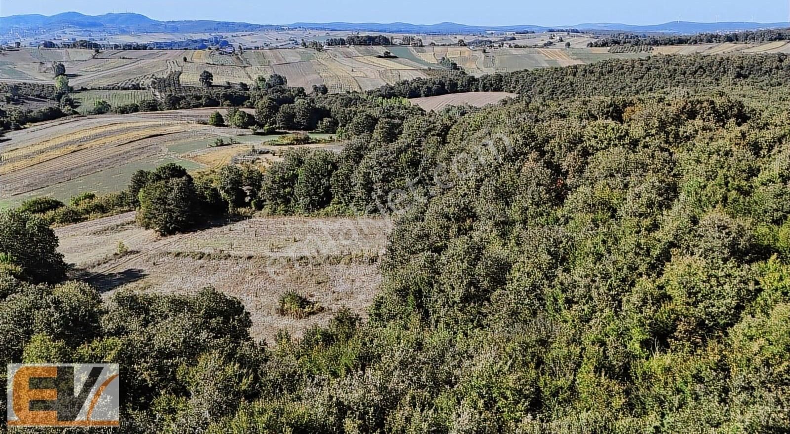 Kandıra Balcı 740 M2 %5 İmarlı Satılık Parsel - Görsel 10