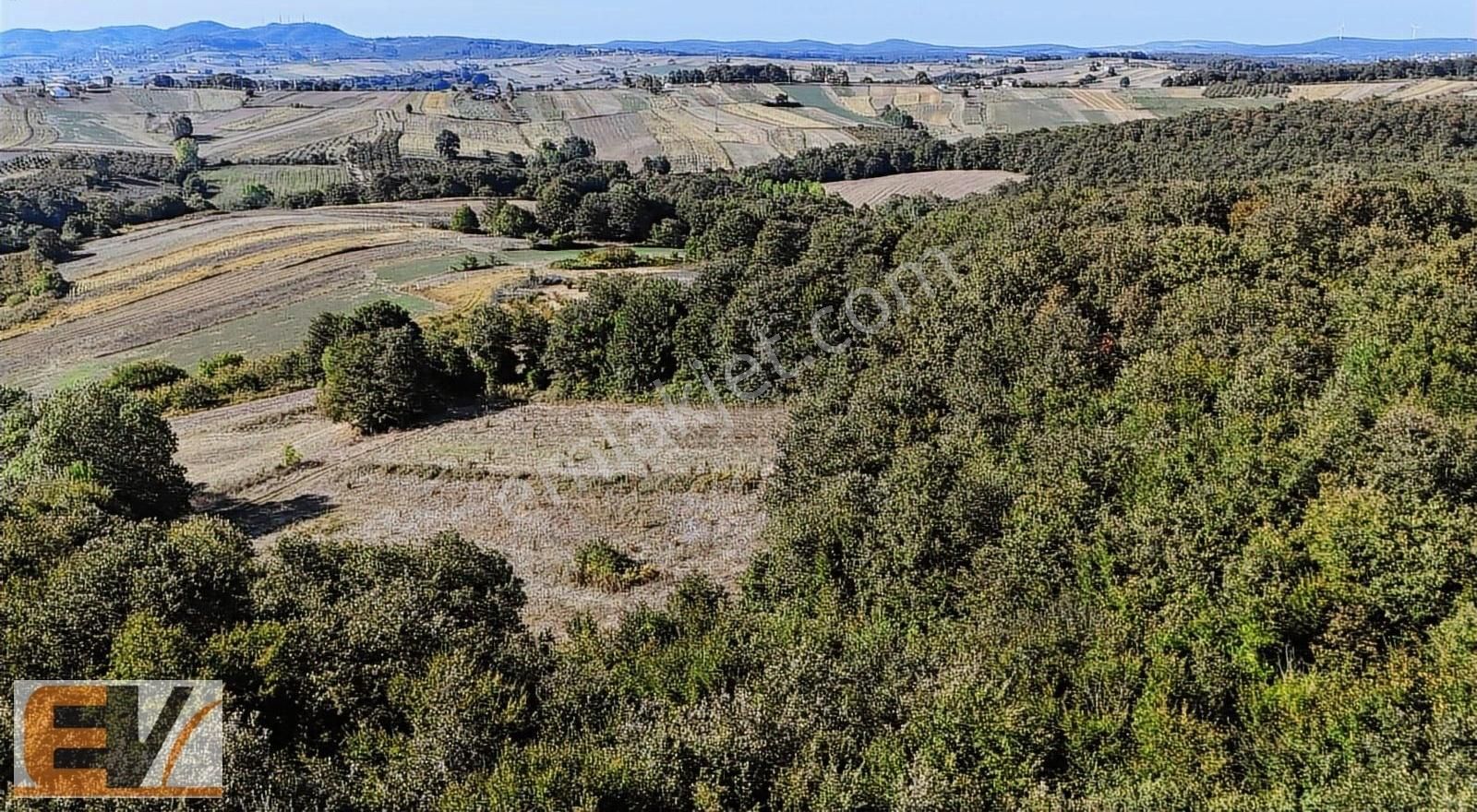 Kandıra Balcı 740 M2 %5 İmarlı Satılık Parsel - Görsel 5