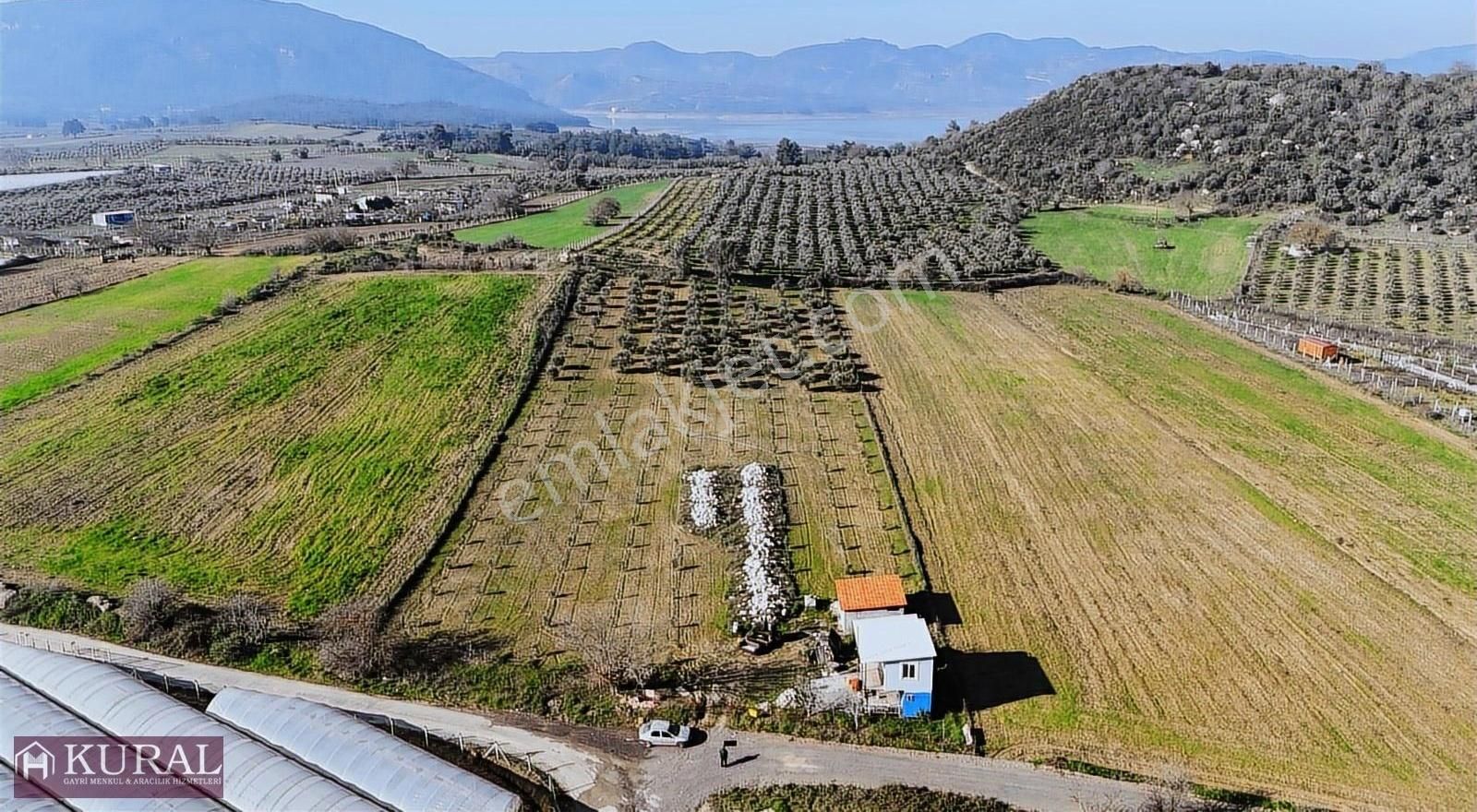 Menderes Değirmendere Satılık Tarla Değirmenderede Hisse Tapulu 8,5dönüm Taksimli Yeri Ayrı Menderes