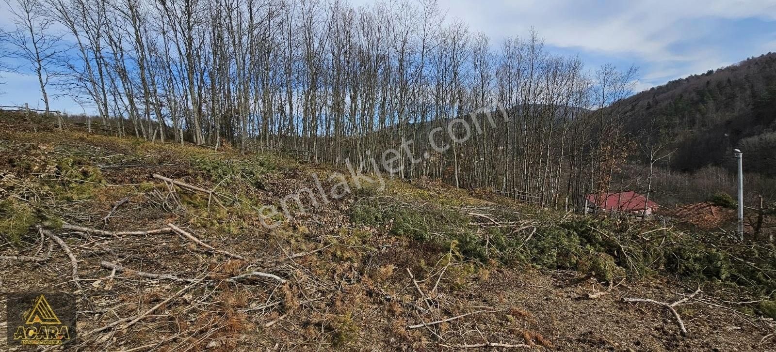 Acara'dan/iznik Elmalı'da/ 3.535 M²,14 Villa Yapılabilir Arsa - Görsel 2