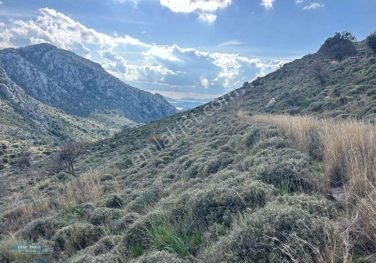 Marmaris Bozburun Satılık Tarla Marmaris Lider Emlak Selimiyeden Bozburun Da Yatırıma Uygun Tarla