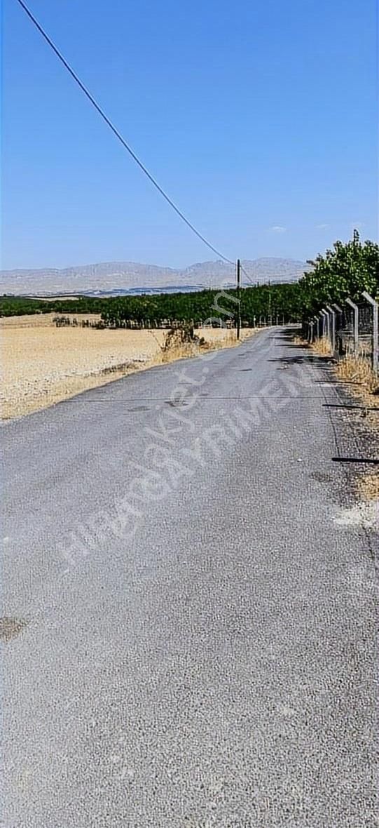 Battalgazi Yarımcahan Satılık Bağ & Bahçe Çolak Oğlunda Satılık 8 Dönüm Kupon Boş Tarla