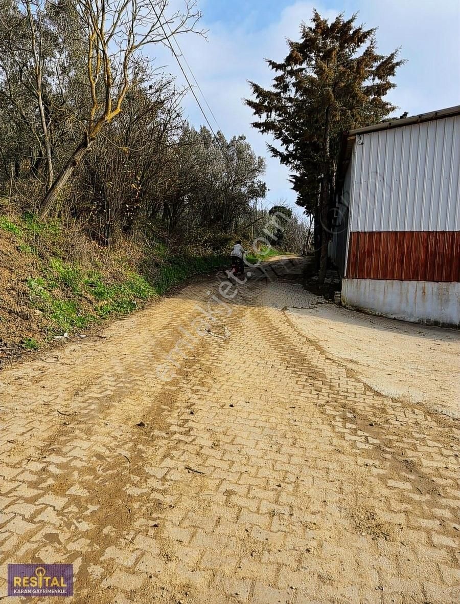 Orhangazi Gedelek Satılık Bağ & Bahçe Meşhur Gedelek Köyünde Güzel Hobi Bahçesi