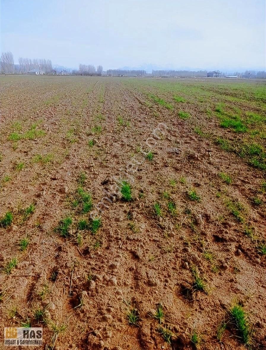 Erciş Örene Satılık Tarla Has Gayrimenkul Den Örene Mahallesinde 9dönüm 700 M2 Satılık Tar