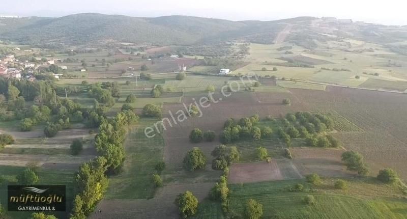 Yenişehir Akçapınar Satılık Tarla Bursa Yenişehirin Göz Bebeği Akçapınarda Satılık Dere Kenarı Bah