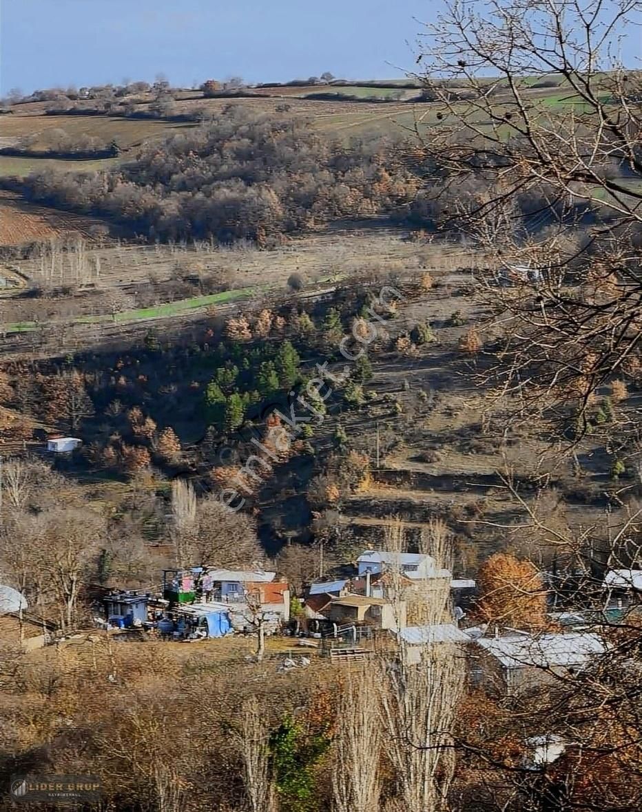 İnegöl Karagölet Satılık Tarla Lider Gruptan İnegöl Karagölette Satılık Tarla