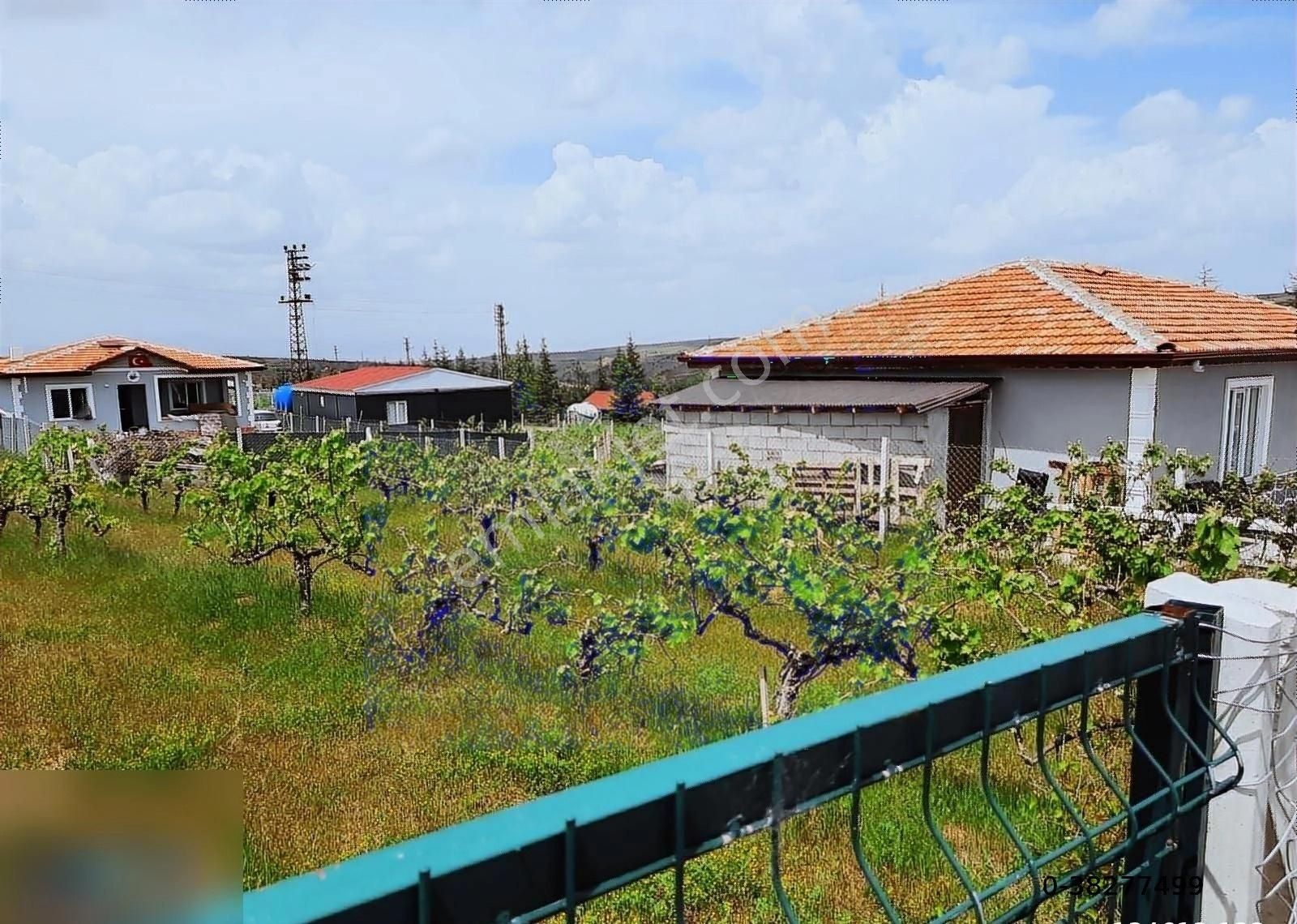 Altındağ Peçenek Satılık Bağ & Bahçe Marka Emlak'tan Peçenek Köyünde 400 Metre Elektirik Su Olan Bahç