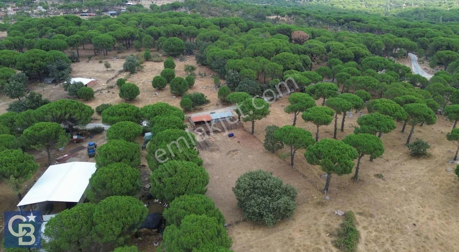 Bergama Terzihaliller Satılık Tarla Bergama Terzihaliller Köyünde Satılık 2100m2 Yola Cephe Tarla