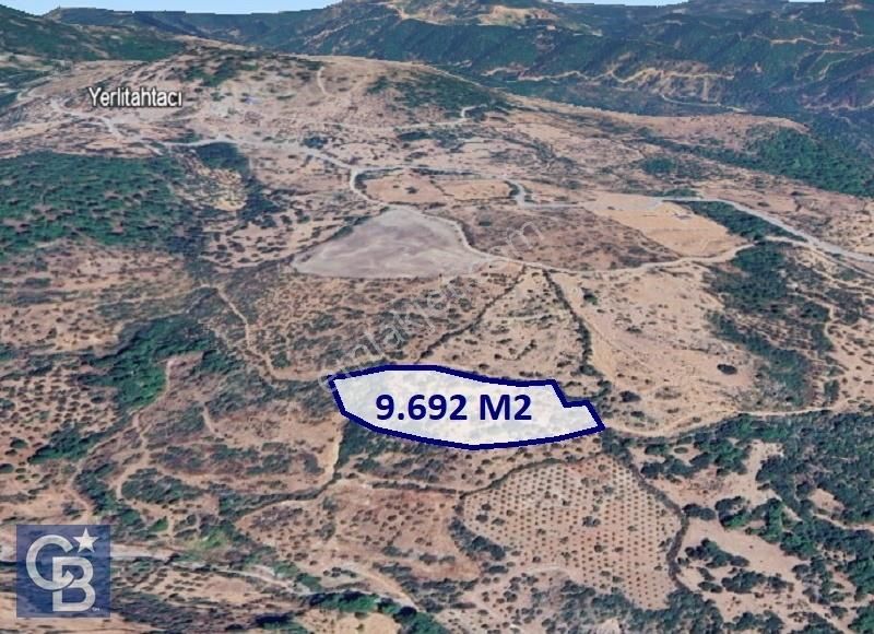 Bergama Yerlitahtacı Satılık Tarla Kozak Eteklerinde Yolu Olan 30 Zeytinli 9.692 M2 Tarla