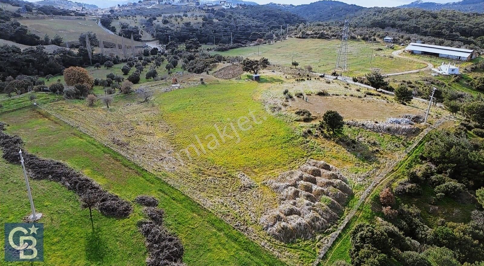 Aliağa Aşağışakran Satılık Tarla Aliağa Aşağı Şakran'da 12.762m2 Satılık Tarla