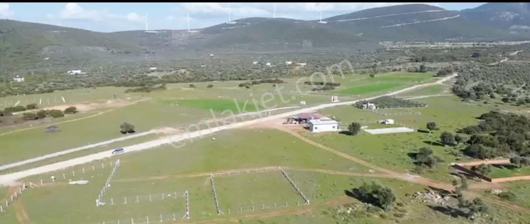 Elektirik Su Mevcut Balova Kardelen De 300 M2 Satılık Arsa - Görsel 14