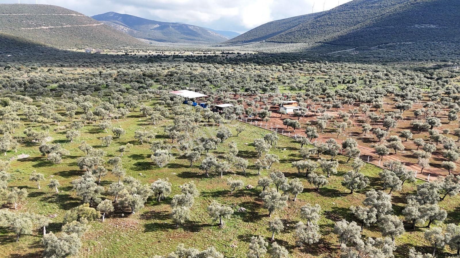 Elektirik Su Mevcut Balova Kardelen De 300 M2 Satılık Arsa - Görsel 12