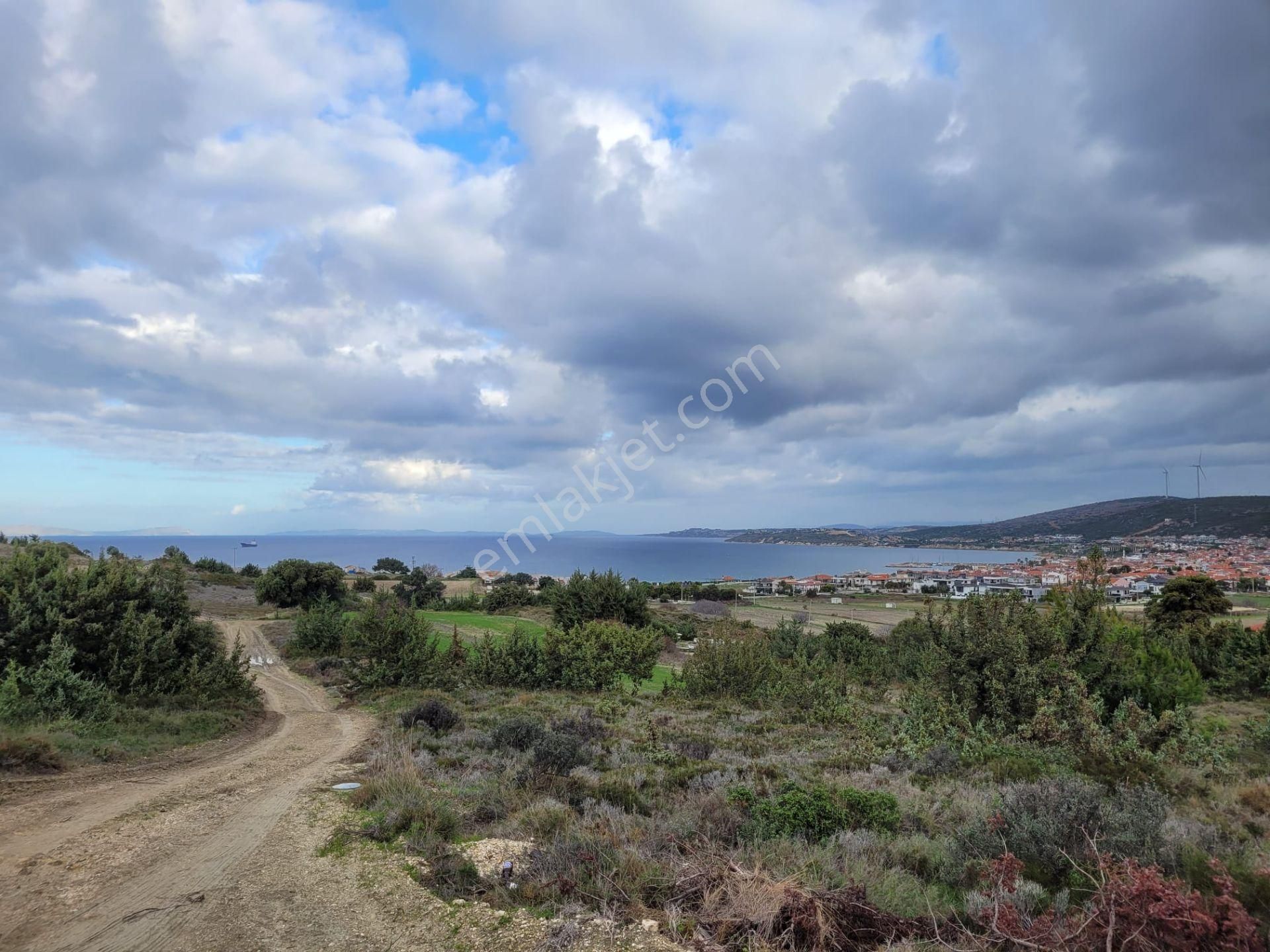 Çeşme Altınkum Satılık Tarla Çeşme Altınkum Mahallesi Deniz Manzaralı Yatırımlık Fırsat Tarla Hissesi