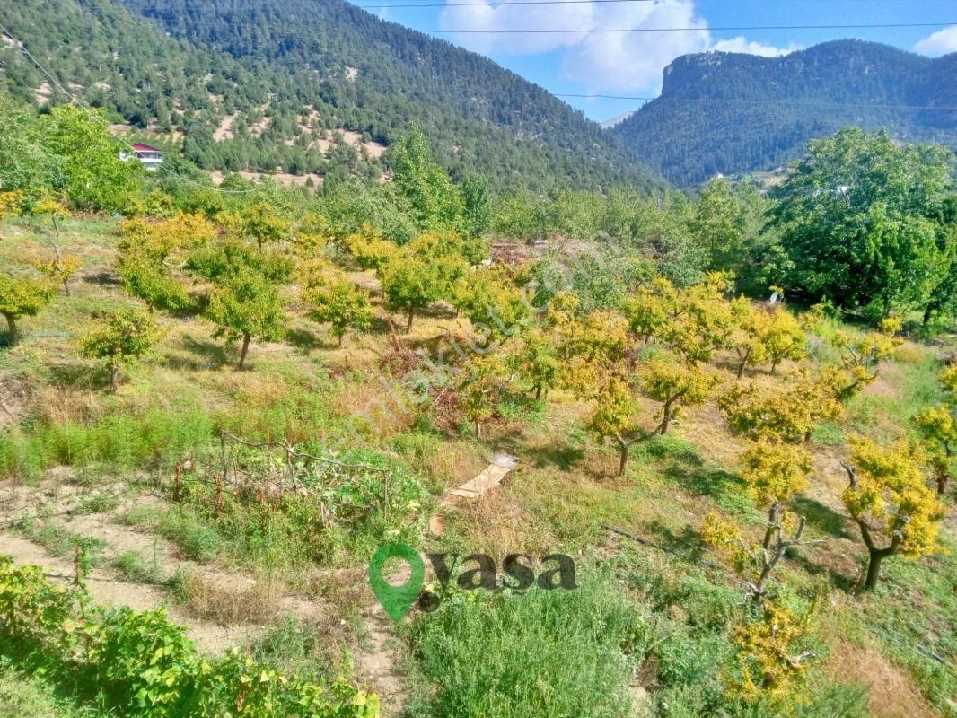 Toroslar Değnek Satılık Bağ & Bahçe Yaşa Gyd - Toroslar Değnek 16 Dönüm Satılık Şeftali Bahçesi