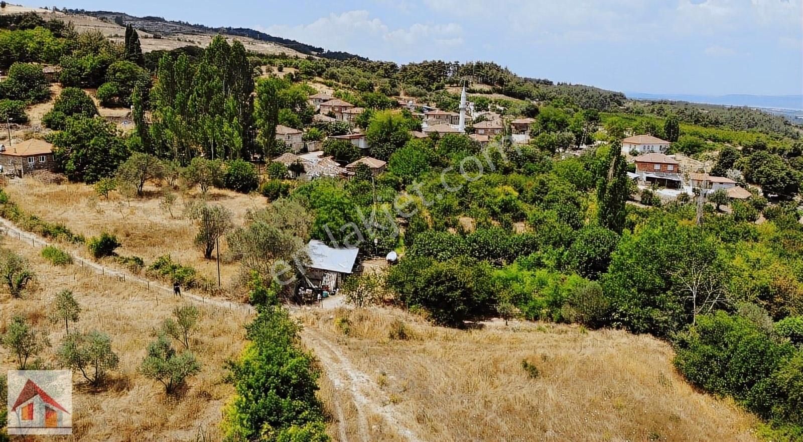 Umurbey Sindal Mah. Temelde 1250 Mkare İmarlı 3320 Mkare Arsa - Görsel 3