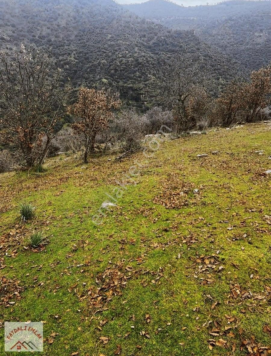 Köprübaşı Yabacı Satılık Tarla Manisa Köprübaşı Yabacıda 116 Dönüm Yatırımlık Tarla