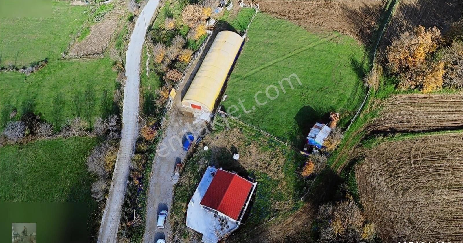 19 Mayıs Tepeköy Satılık Bağ & Bahçe 19 Mayıs İlçesinde Satılık Deniz Manzaralı Bağ Evi Ve Arazi