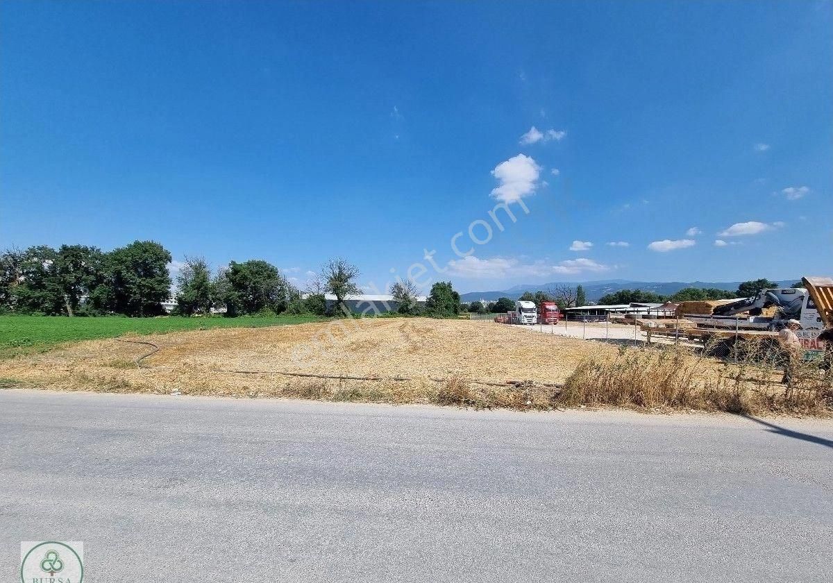 Bursa Nilüfer Alaaddinbey'de Kiralık Tarla