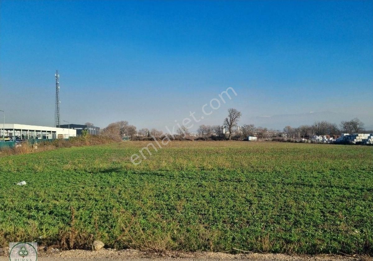 Bursa Nilüfer Alaaddinbeyde Kiralık Tarla