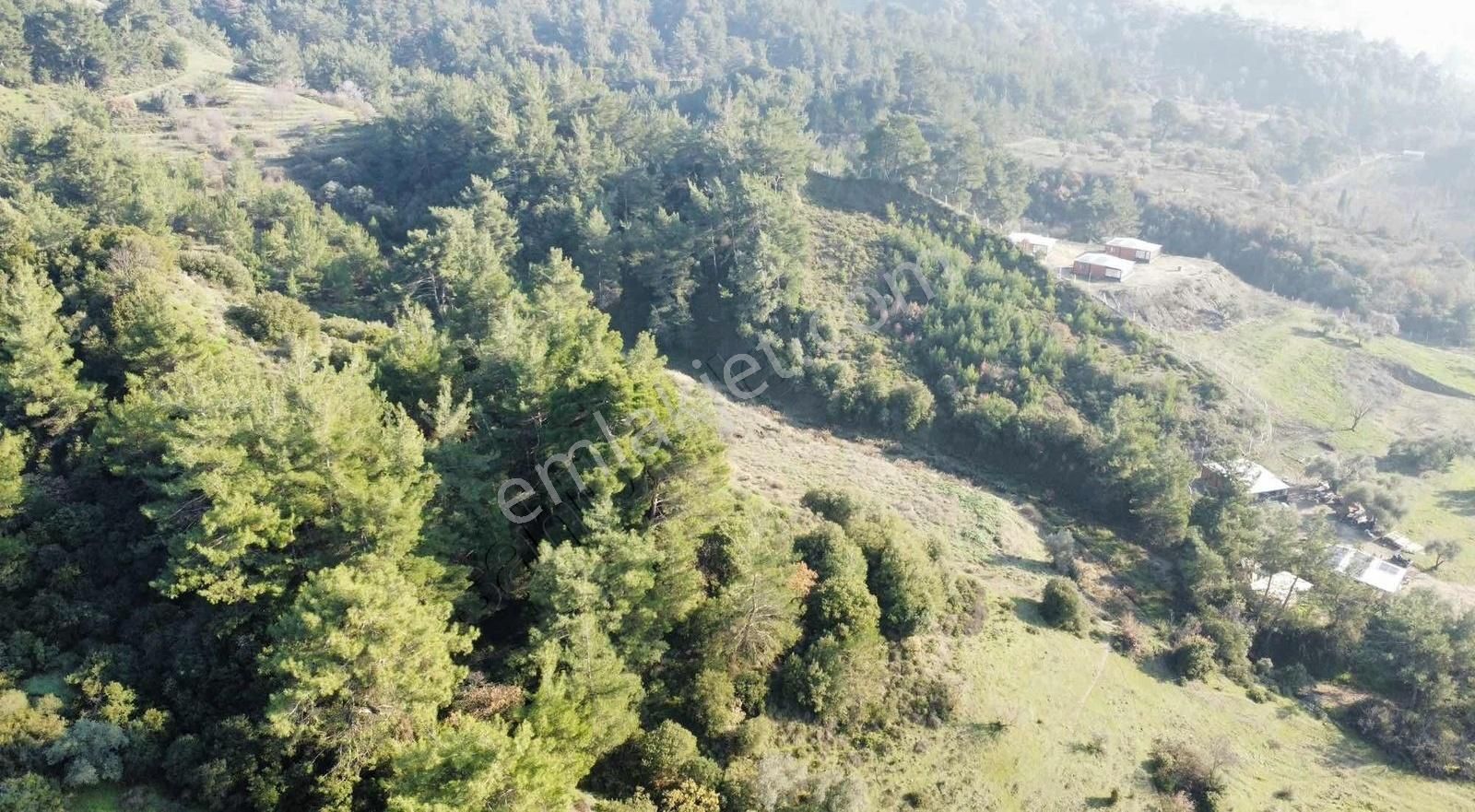 Etrafında Yerleşim Başlamış Ho Bahçesine Uygun Tarla - Görsel 2