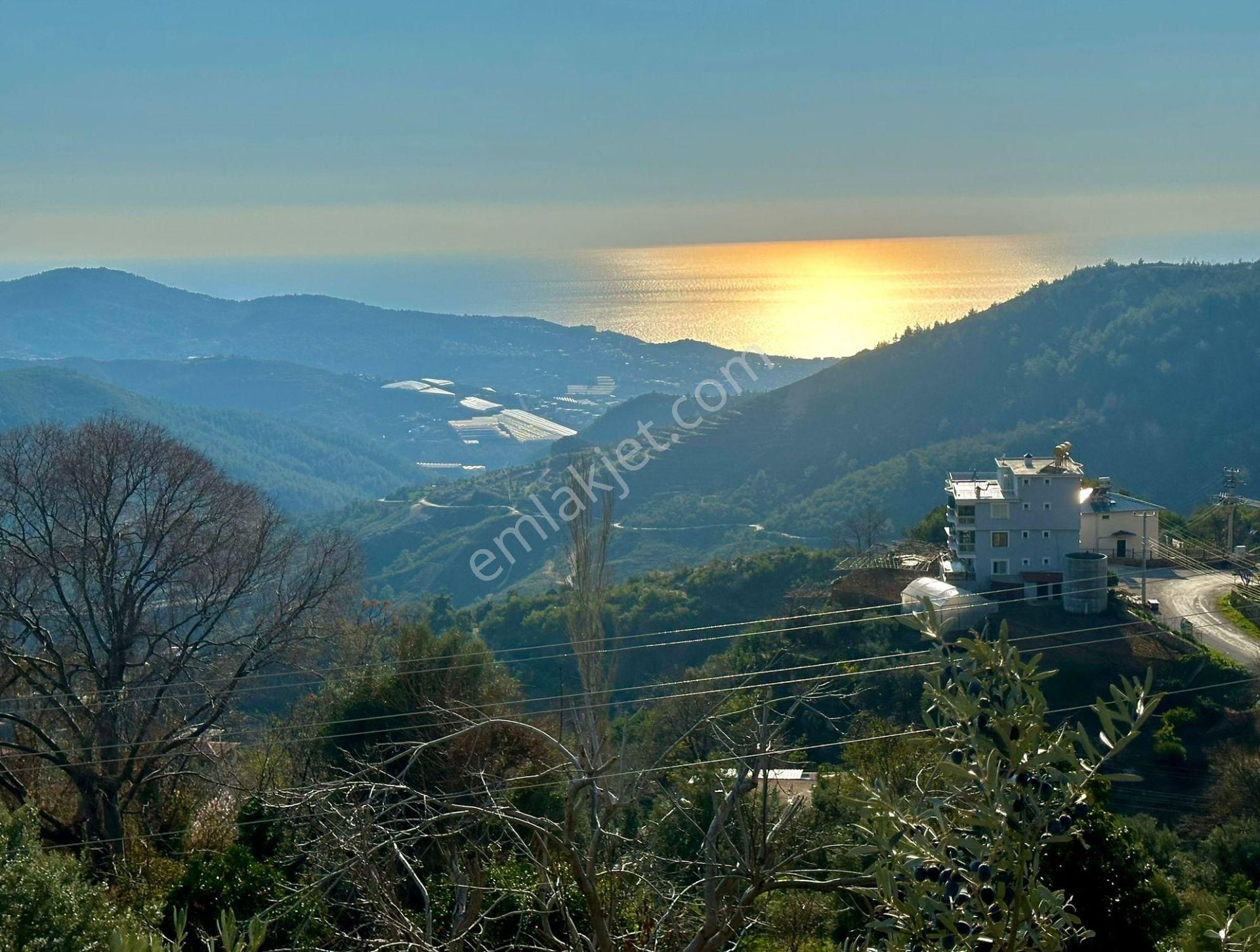 Alanya Gözüküçüklü Satılık Müstakil Ev Alanya Gözüküçüklü Mah.eşyalı 2+1 Müstakil Bahçe Evi