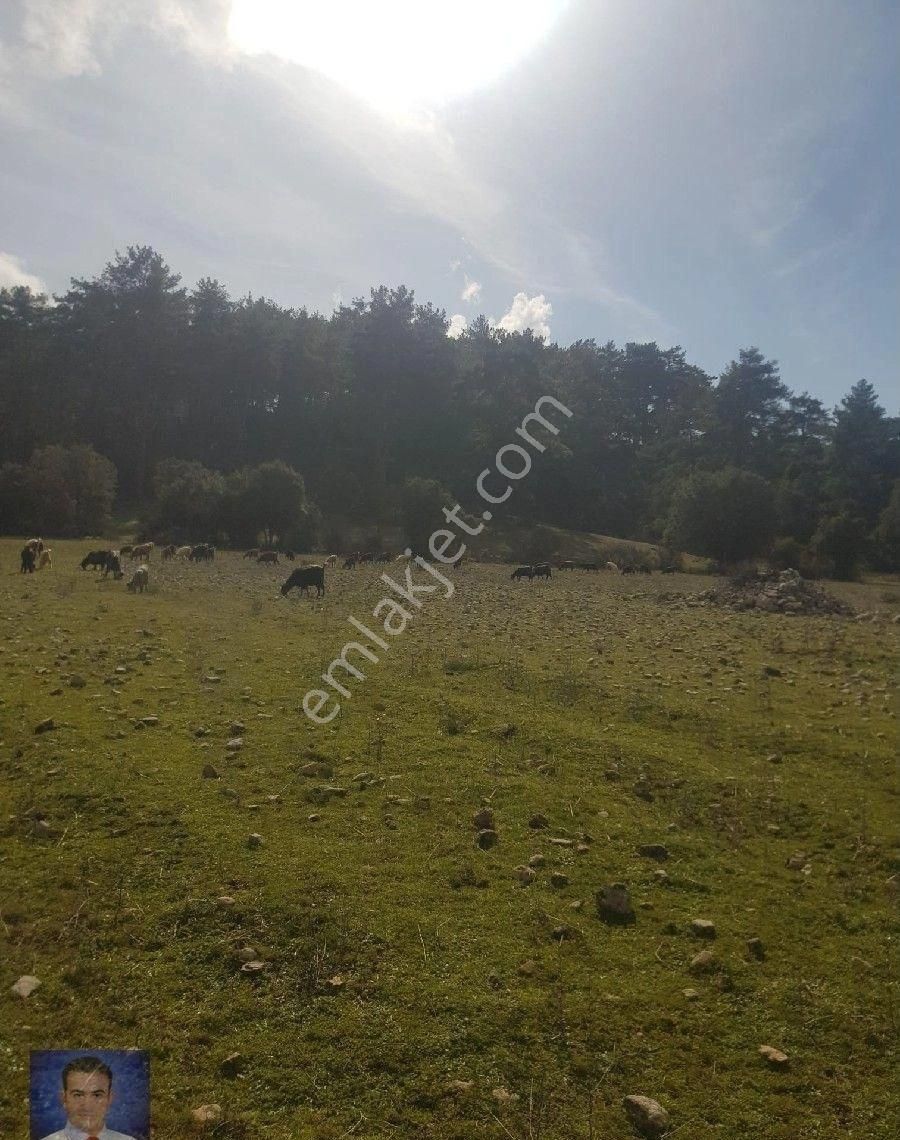 Fırsat Tarla Bu Fiyata Kaçmaz - Görsel 10