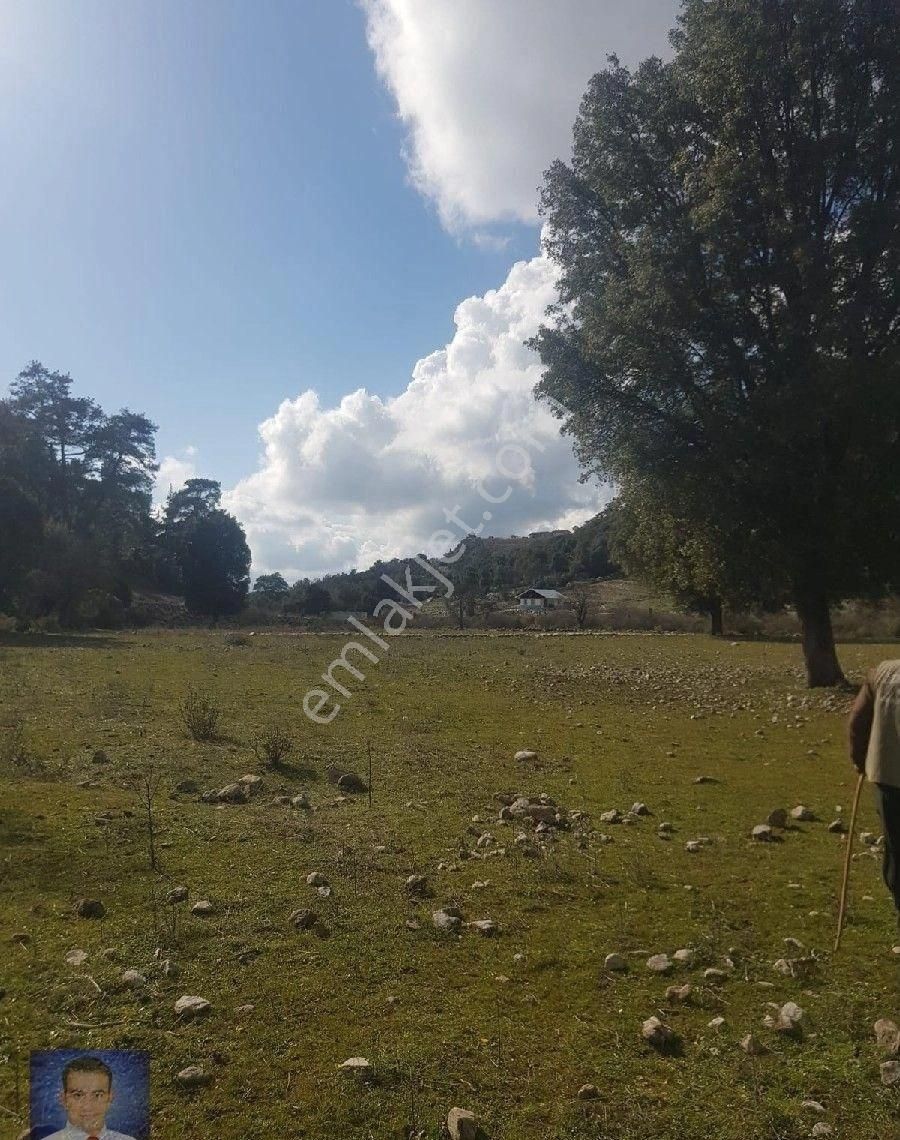 Fırsat Tarla Bu Fiyata Kaçmaz - Görsel 7