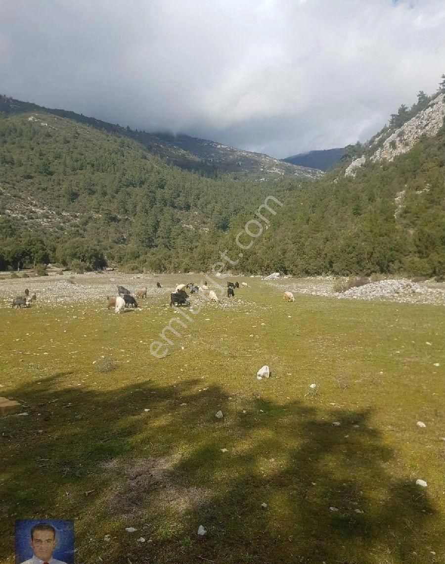 Fırsat Tarla Bu Fiyata Kaçmaz - Görsel 15