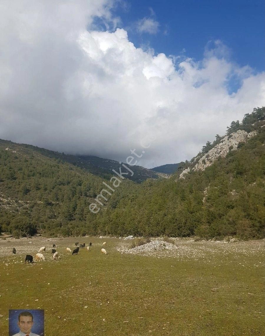 Fırsat Tarla Bu Fiyata Kaçmaz - Görsel 17