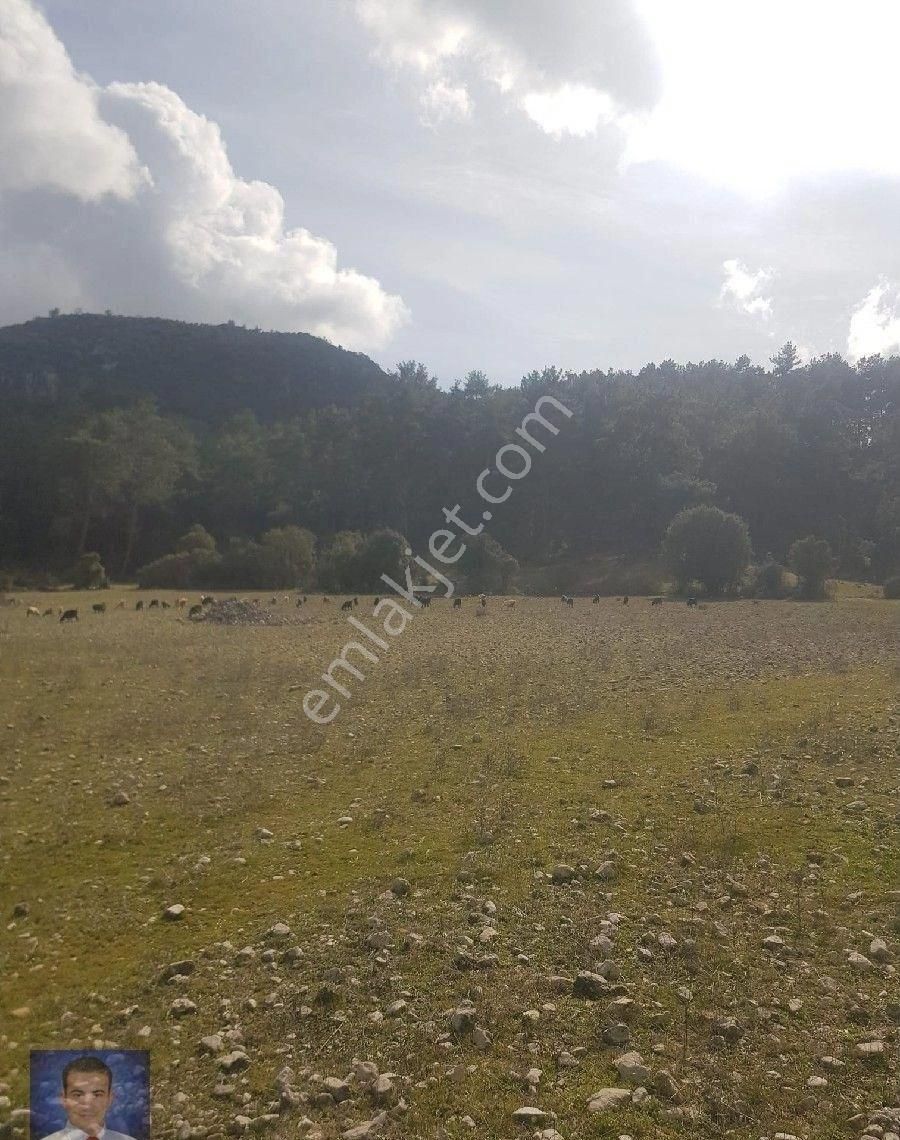 Fırsat Tarla Bu Fiyata Kaçmaz - Görsel 11