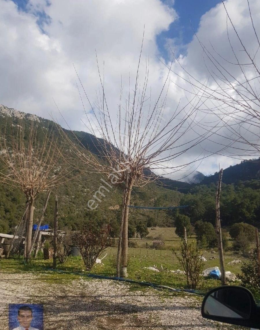 Fırsat Tarla Bu Fiyata Kaçmaz - Görsel 5