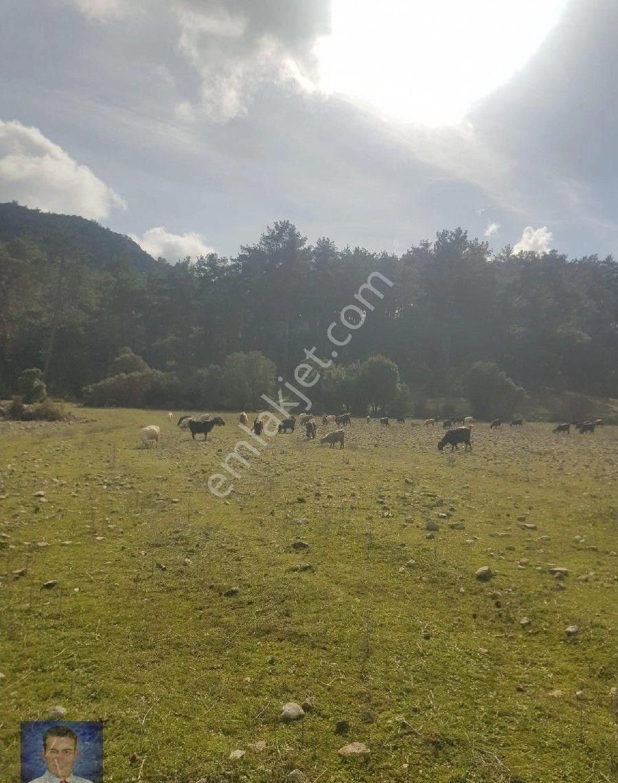 Fırsat Tarla Bu Fiyata Kaçmaz - Görsel 4