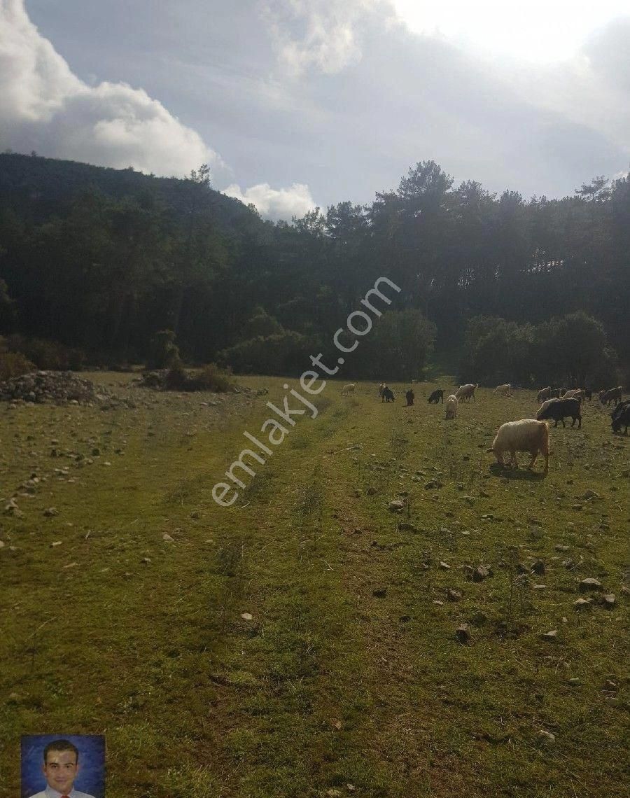 Fırsat Tarla Bu Fiyata Kaçmaz - Görsel 14