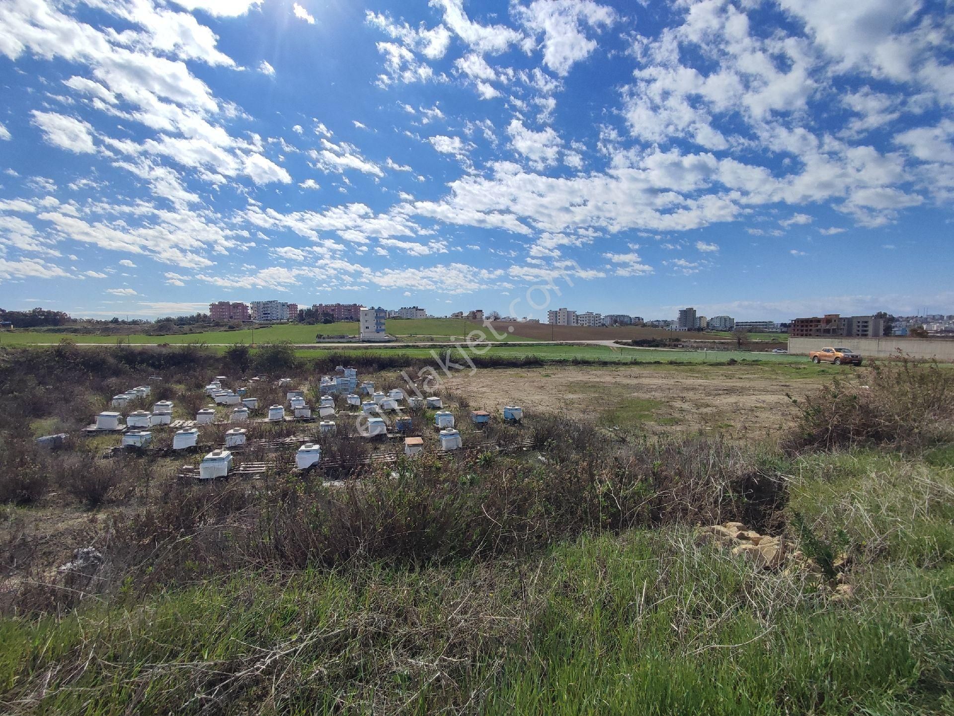 Gms Emlak'tan Karataş'ta 8 Katta İmarlı Denize Yakın Deniz Manzaralı Satılık 816m²arsa - Görsel 9