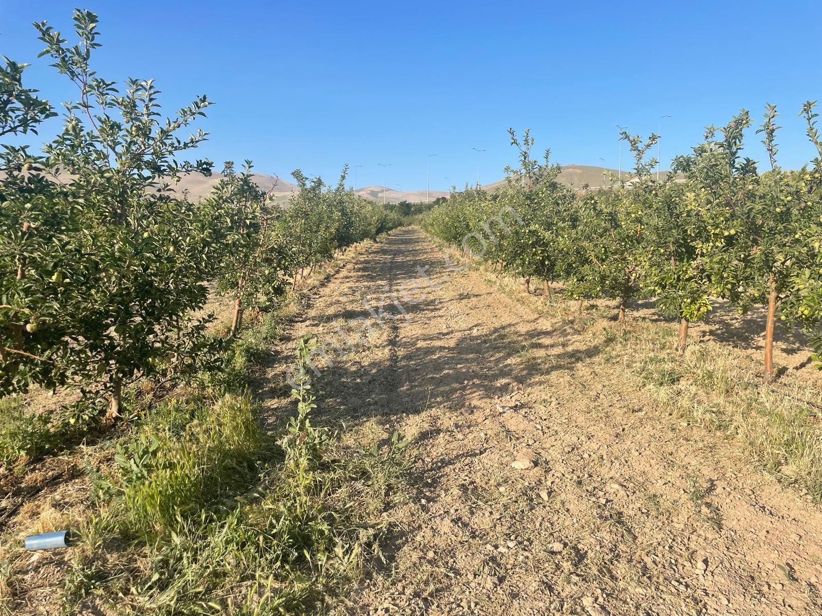 Niğde Merkez Sazlıca Bld. (Yeni) Satılık Tarla Barış Emlaktan Yola Sıfır Satılık Tarla