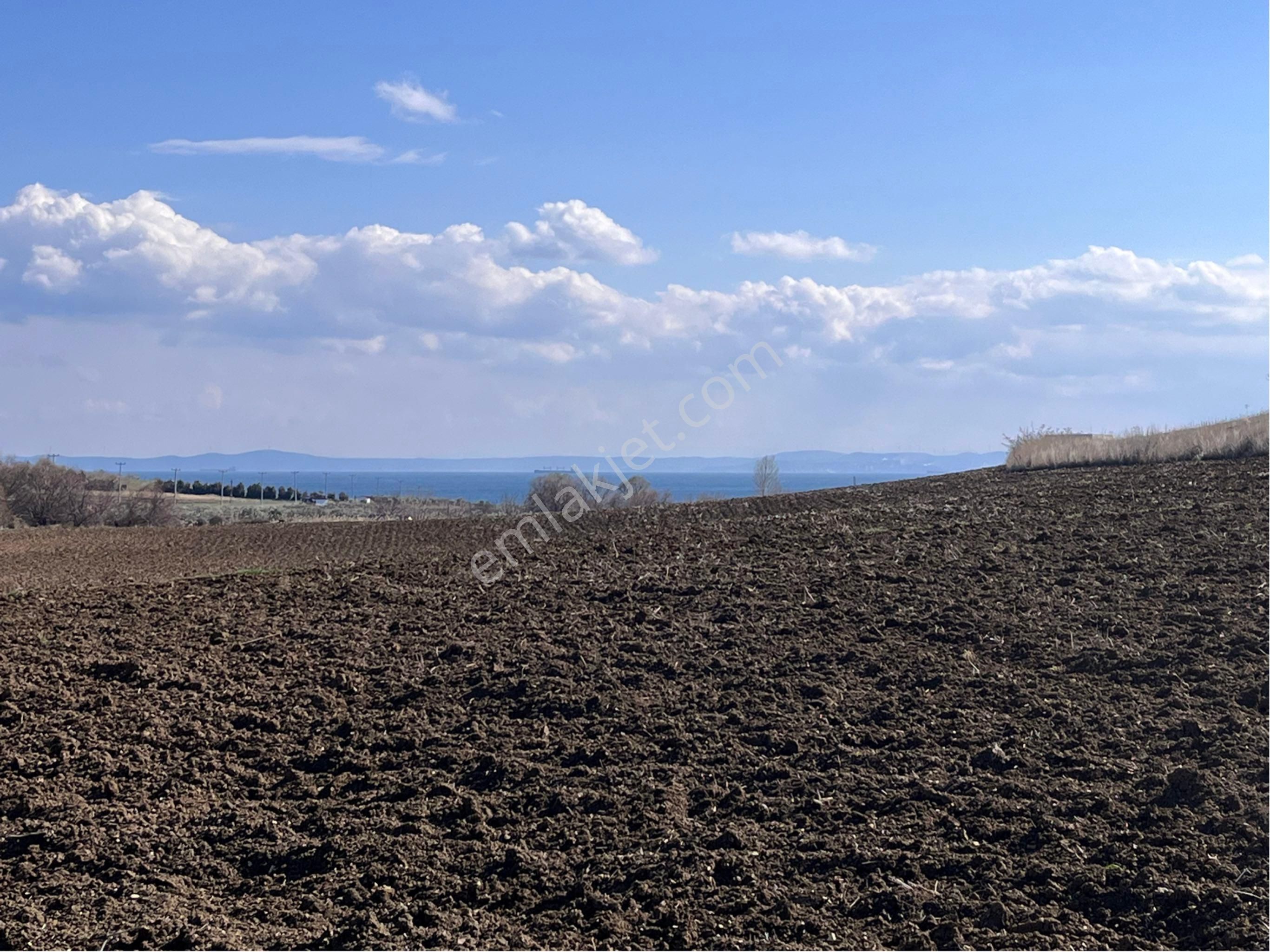 Şarköy Kocaali Satılık Tarla Şarköy Kocaali Mah. 340 Metre Tarladan Hisse Satılık