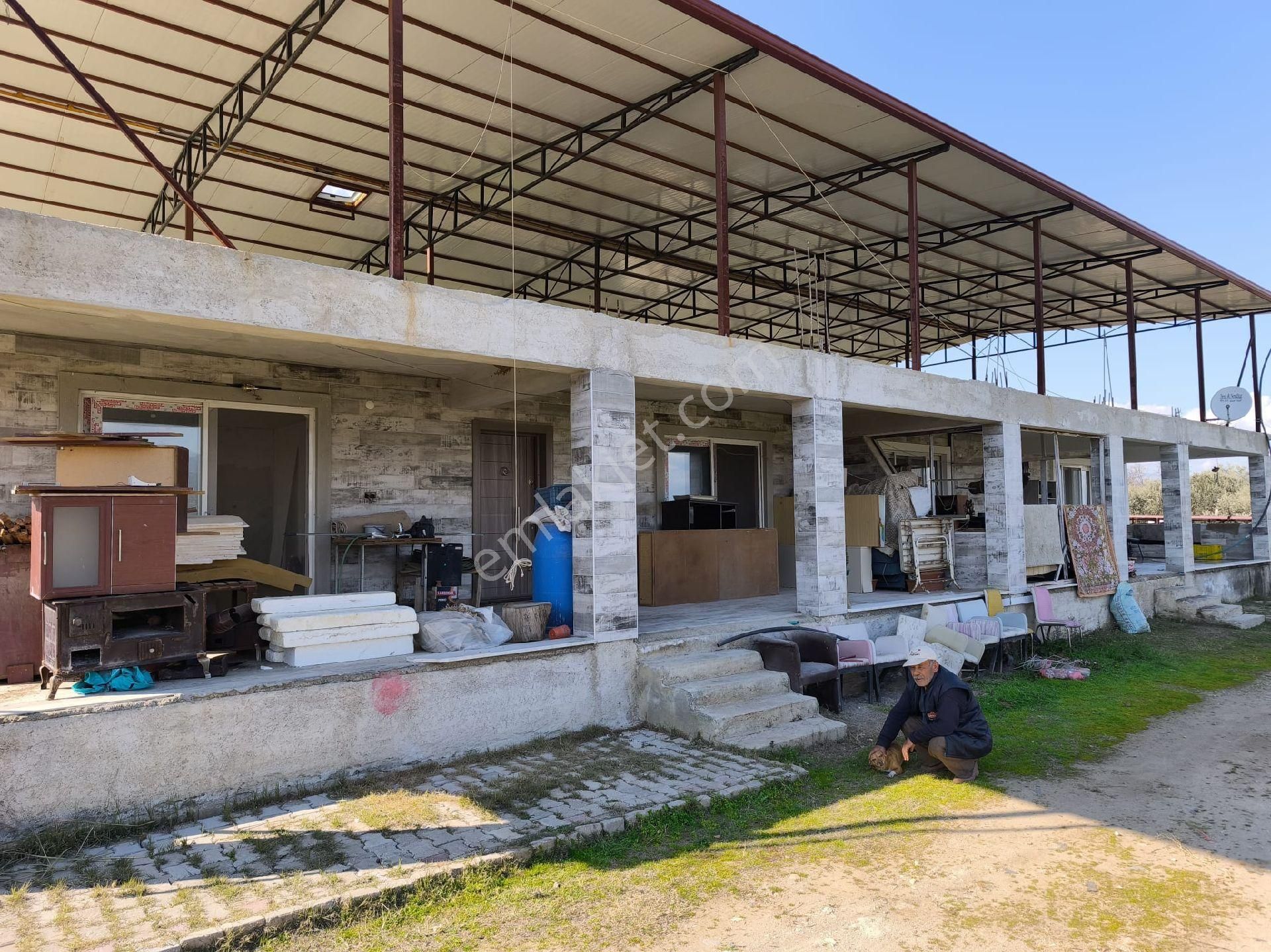 Bozdoğan Osmaniye Satılık Çiftlik Duru Emlak'tan Satılık Yatırımlık Çiftlik