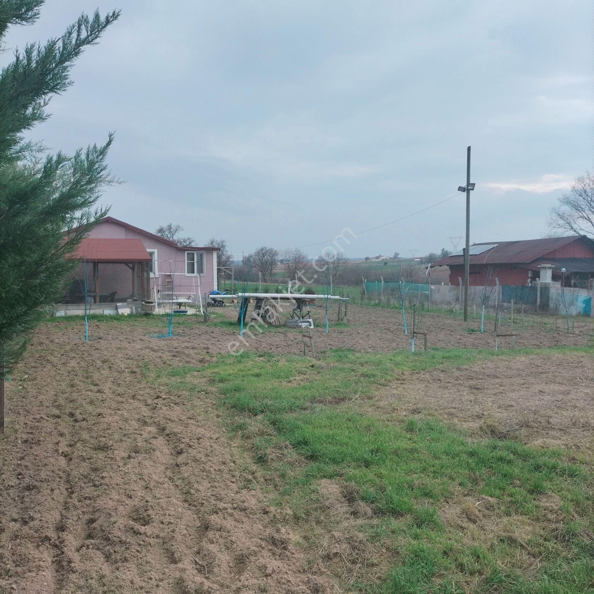 Lüleburgaz Hamitabat Köyü Satılık Konut İmarlı Lüleburgaz Hamitabat İmarlı Elektrik Su Bağlı Yola Cephe Ev Ve Arsası