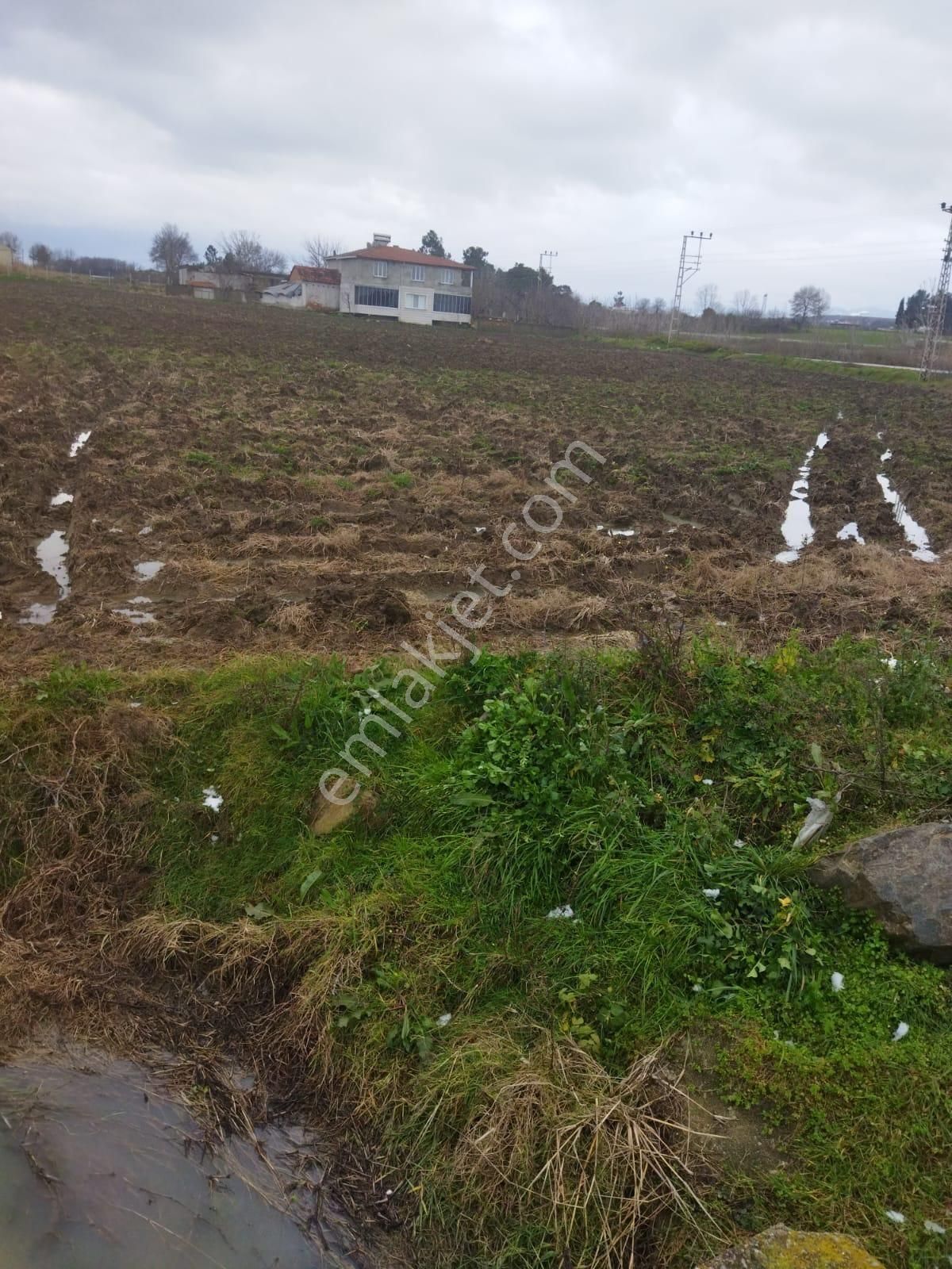 Bafra Kelikler Satılık Müstakil Ev Samsun Bafra Kesimlerde Satılık Arsa