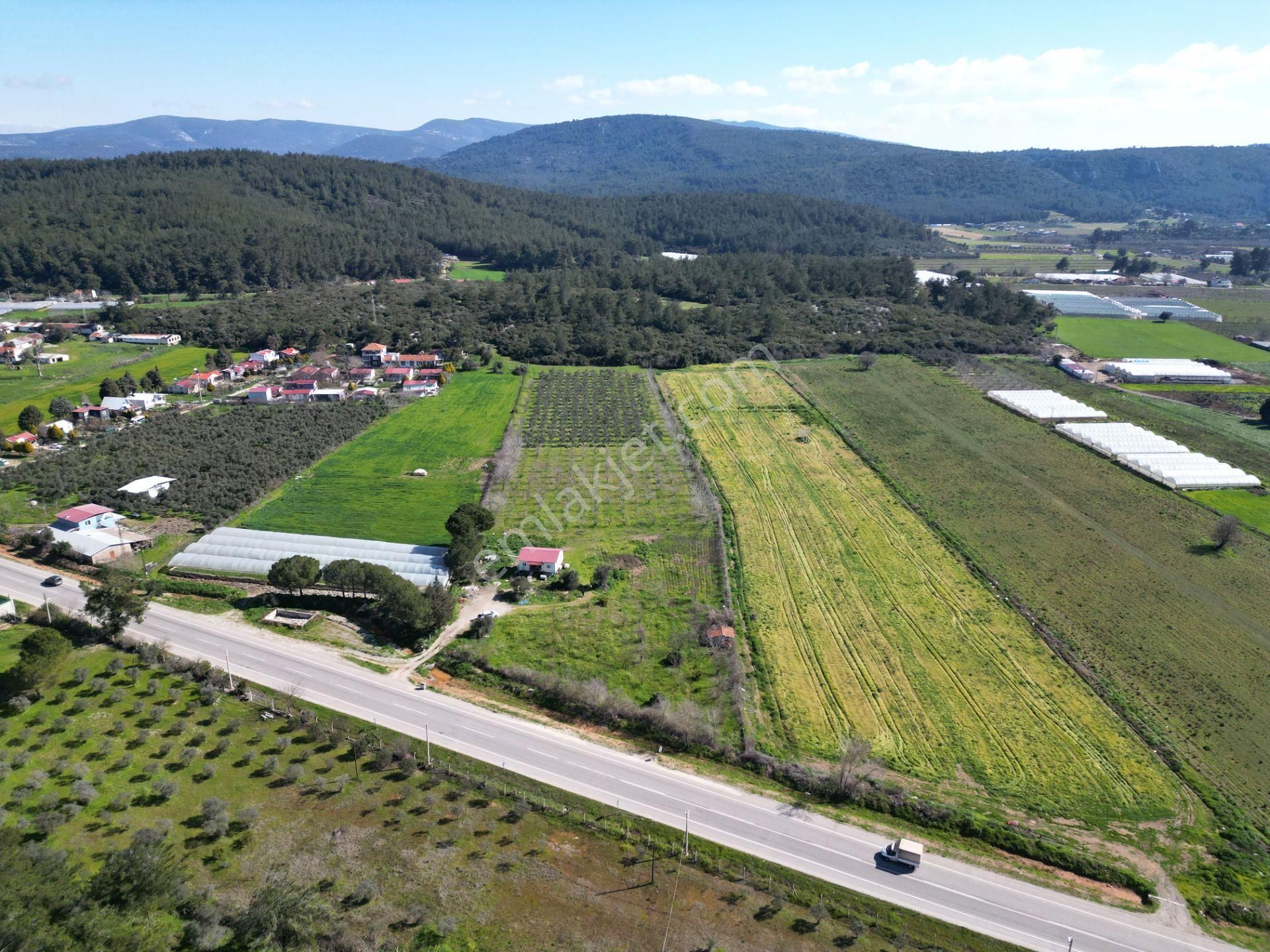 Menderes Çile Satılık Bağ & Bahçe Menderes Çile’de Anayol Üstünde Satılık 18950 M2 Müstakil Bahçe