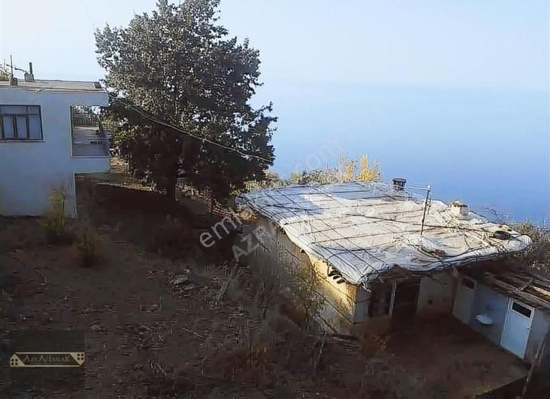 Zeytinada Köyünde 1 Dönüm Tarla Ve Ev - Görsel 3