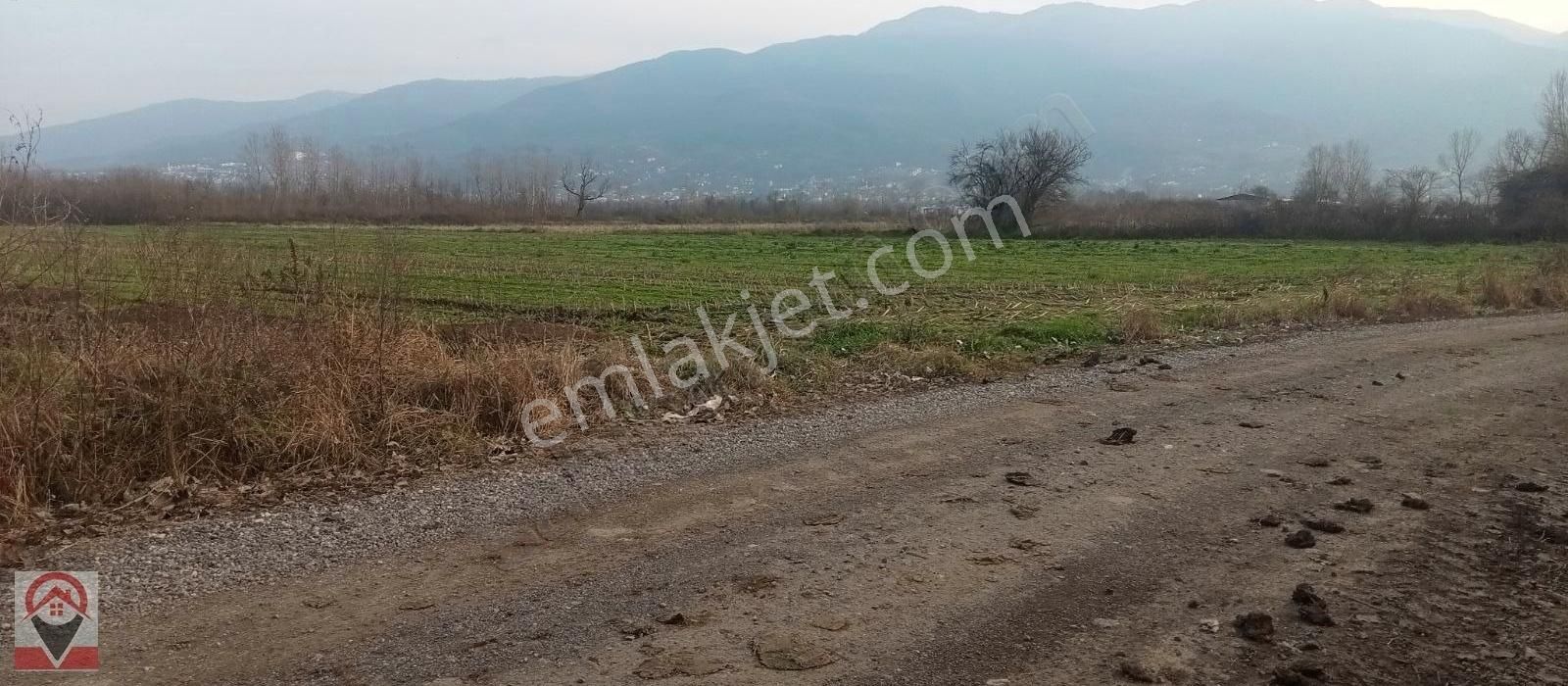 Kocaeli Kartepe Suadiye De Kuloğlu Emlak Inş Dan Satılık Tarla - Görsel 11