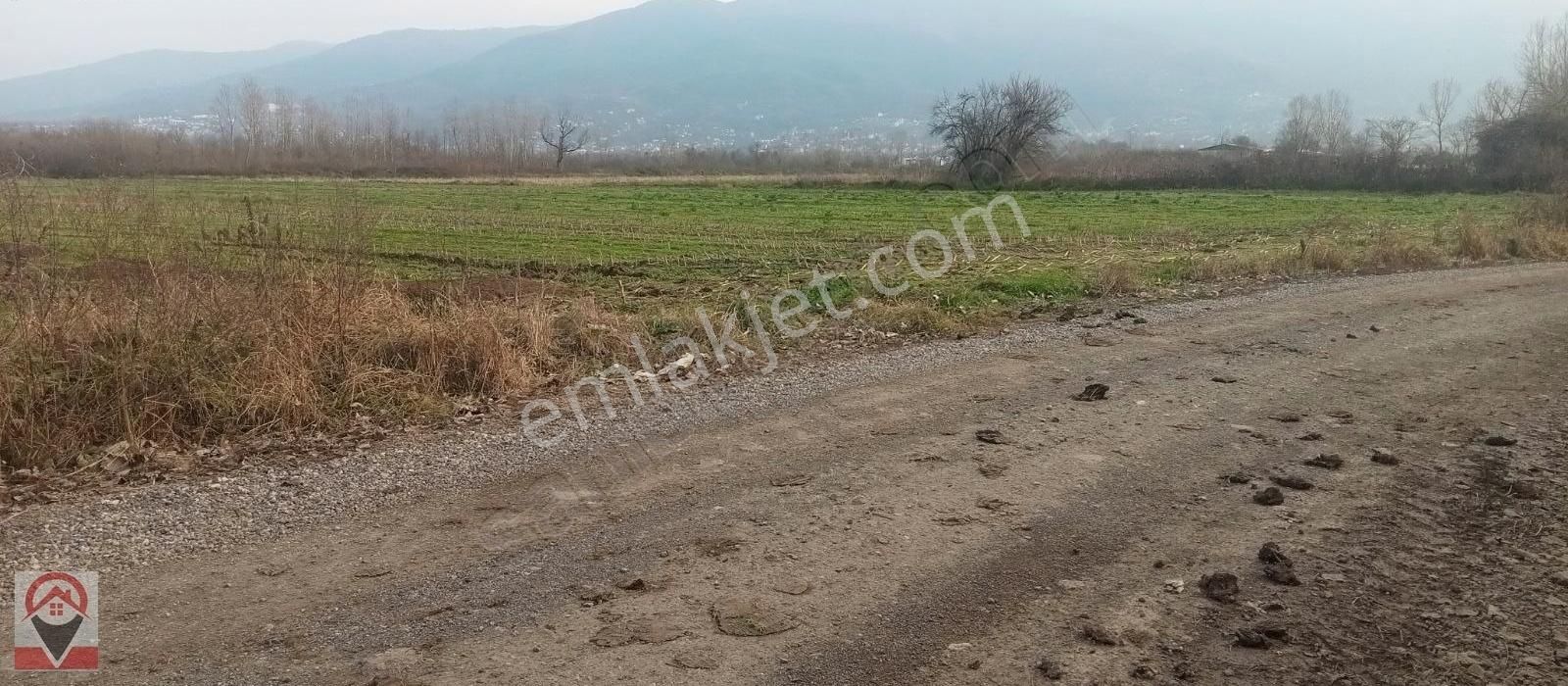 Kocaeli Kartepe Suadiye De Kuloğlu Emlak Inş Dan Satılık Tarla - Görsel 7