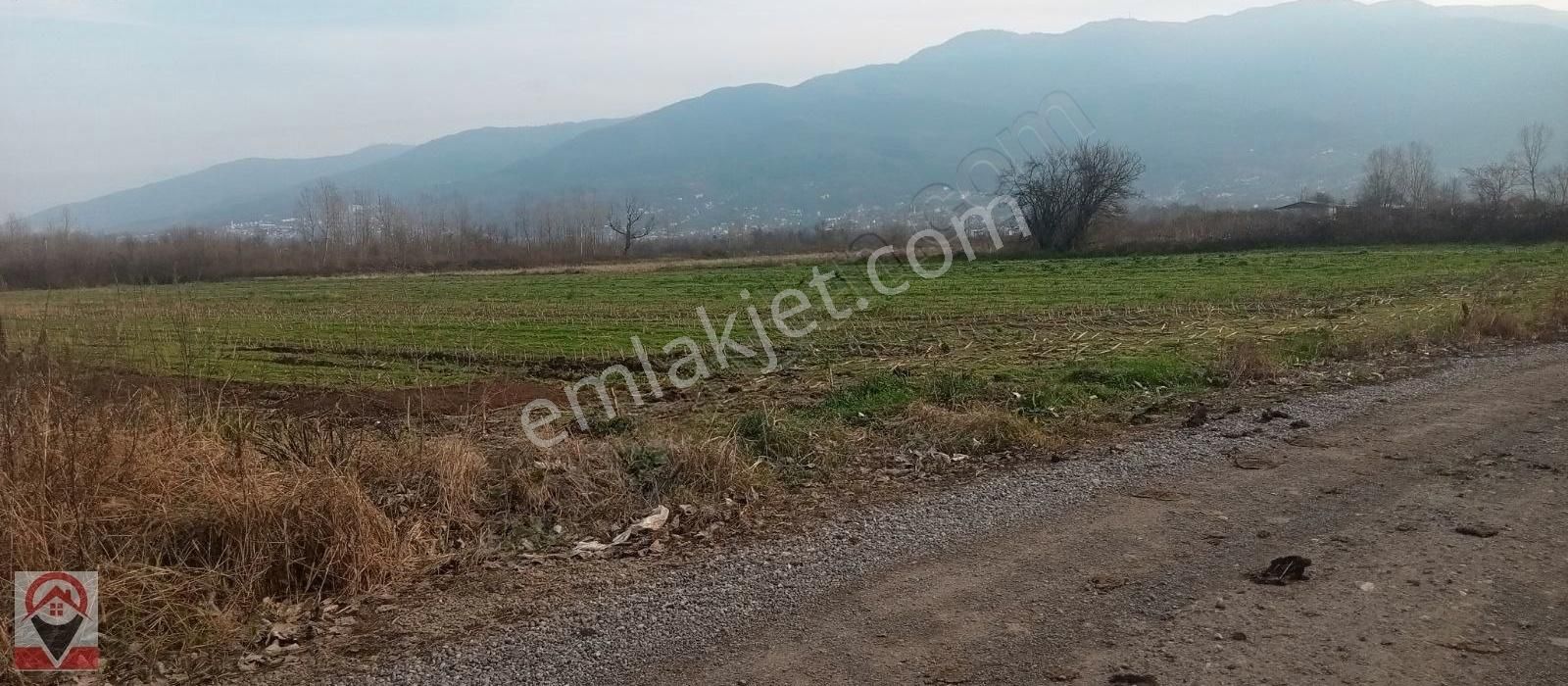 Kocaeli Kartepe Suadiye De Kuloğlu Emlak Inş Dan Satılık Tarla - Görsel 13