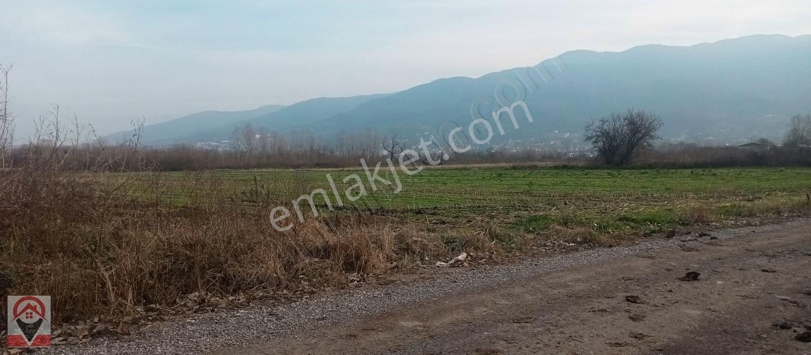 Kocaeli Kartepe Suadiye De Kuloğlu Emlak Inş Dan Satılık Tarla - Görsel 6