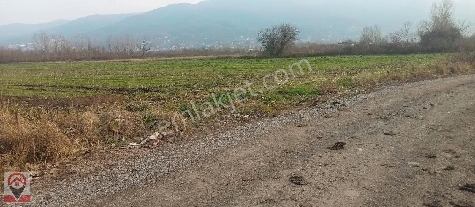 Kocaeli Kartepe Suadiye De Kuloğlu Emlak Inş Dan Satılık Tarla - Görsel 14