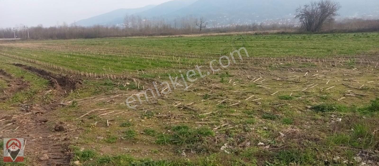 Kocaeli Kartepe Suadiye De Kuloğlu Emlak Inş Dan Satılık Tarla - Görsel 8